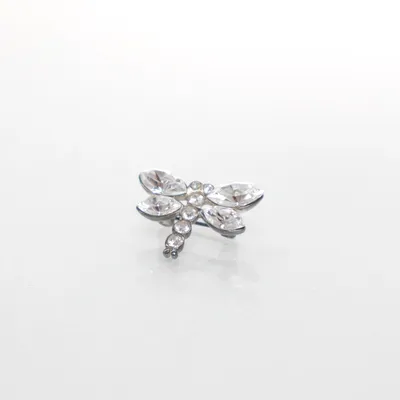 Broche (Zilver) Onbekend materiaal