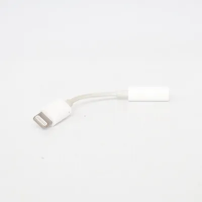 AUX cable from Apple