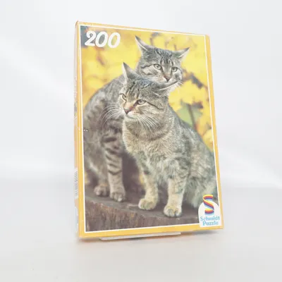 Puzzel van Schmidt Puzzle