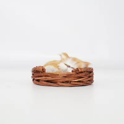 Woondecoratie (Bruin, Wit)