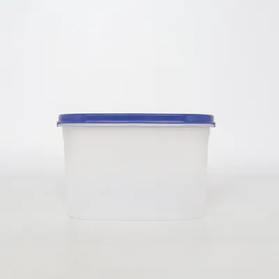 Lunchtrommel (Blauw, Wit) van Tupperware