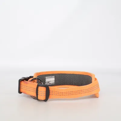 Dog collar (Orange) from Feel Active