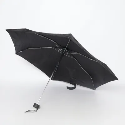 Umbrella (Black) from Totes