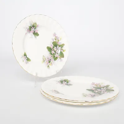 Bordje (Mayflower) van Royal Albert