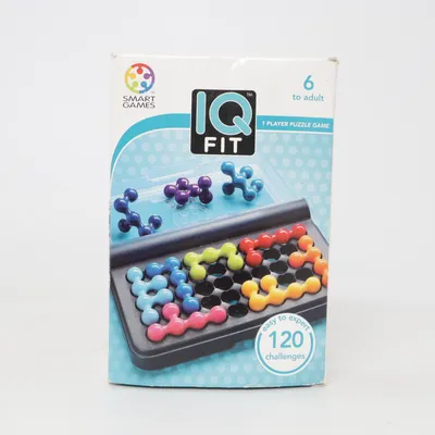 Brain teaser puzzle (IQ Fit) from Smart Games