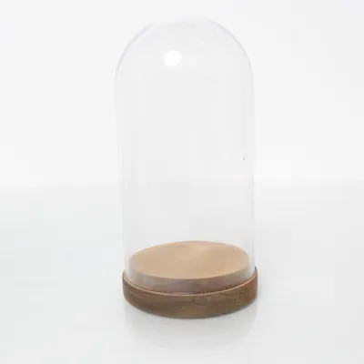 Greenhouse (Transparent)