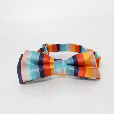 Fluga (Flerfärgad) från Paul Smith