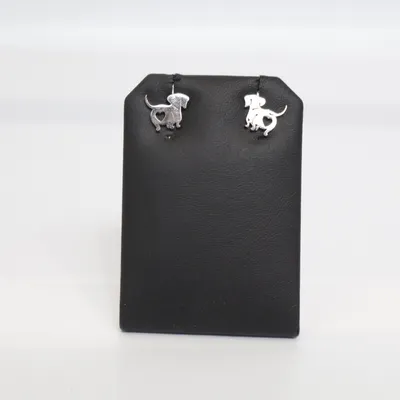 Örhängen (Silverfärgad) Rostfritt stål