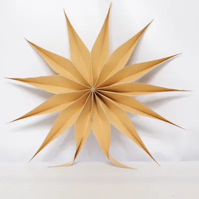 Christmas star (Beige)