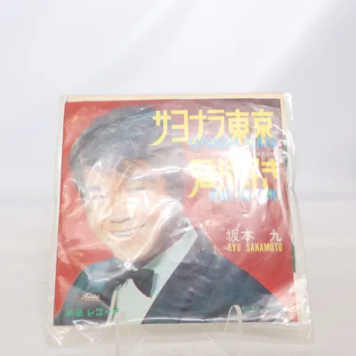 Vinylplade