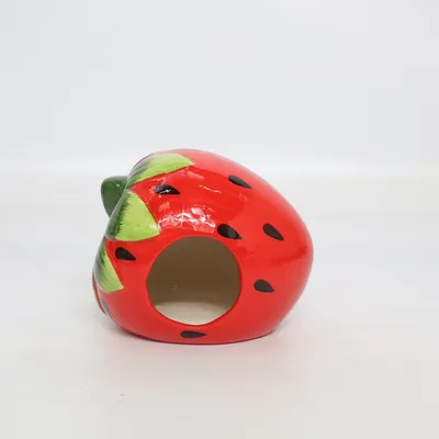 Husdjurstillbehör (Hamster hus - Jordbær 🍓 )