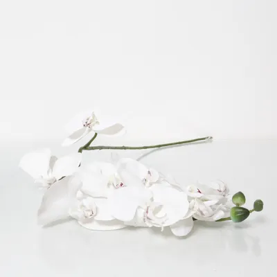 Konstgjord växt (Vit)
