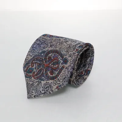 Cravate (Multicolore) de Pierre