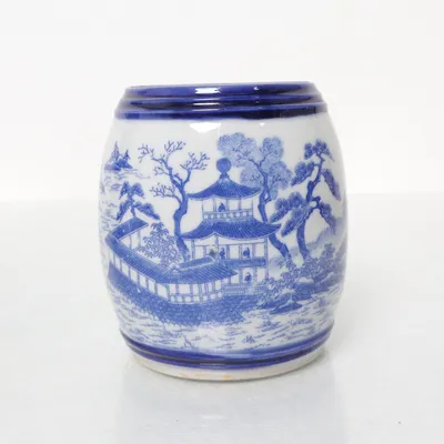Vaas (Wit, Blauw)