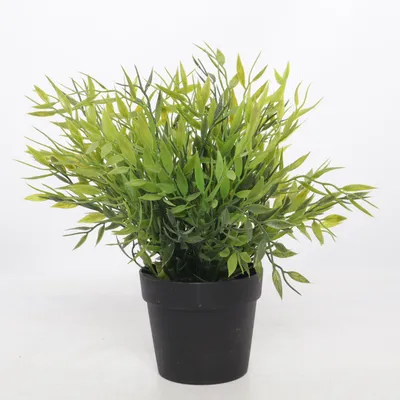 Artificial plant (Black, Green) from IKEA