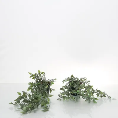 Artificial plant (Black, Green)