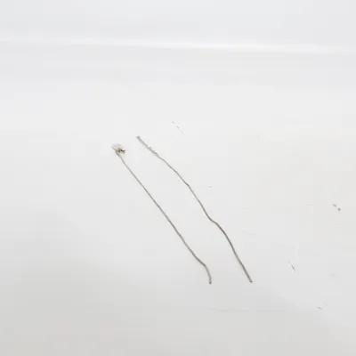 Halsband (Silverfärgad) från Scoop Silver