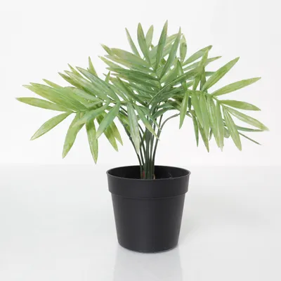 Artificial plant (Green, Black)