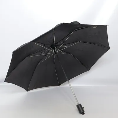 Paraply (Svart) från Totes Polyester