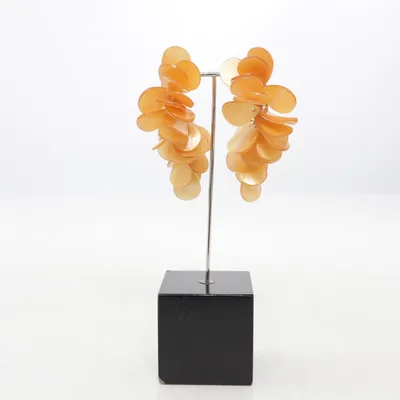 Earrings (Brown, Orange) from H&M Conscious Collection Stainless steel, Plastic