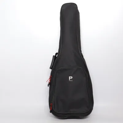 Guitar case (Black) from Profile