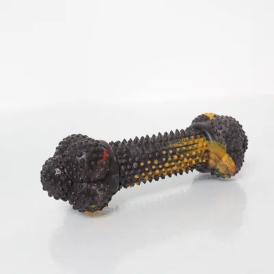 Hundleksak (Svart, Flerfärgad) från Nylabone