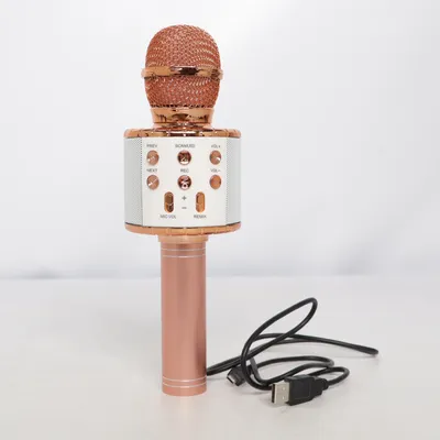 Karaokemaskin (Rosa, Vit)