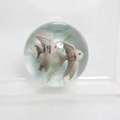 Home decoration (Transparent, Multicolored)
