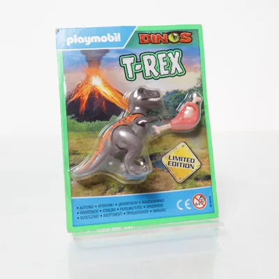 Leksaksfigur (Flerfärgad) från Playmobil