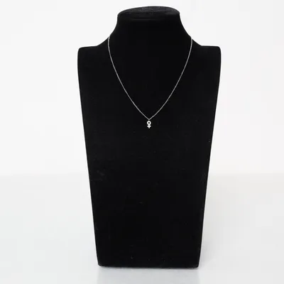 Halsband (Silverfärgad) från Edblad Okänd metall