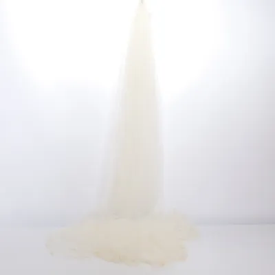 Voile de mariée (Blanc) de Lilly