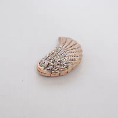 Broche (Marron) Métal inconnu