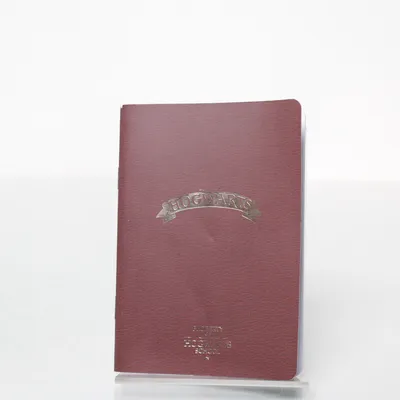 Notitieboek van Harry Potter