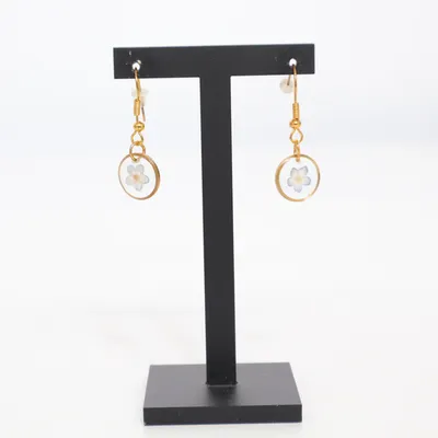 Boucles d'oreilles (Or) Métal inconnu