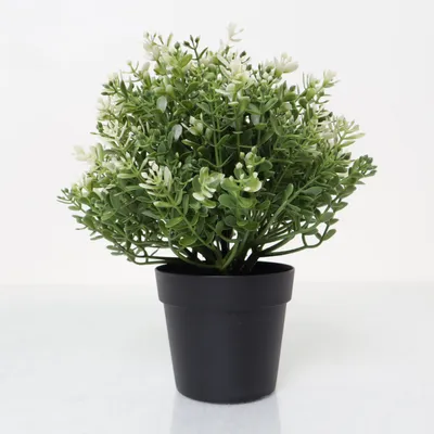 Kunstig plante (Grøn, Hvid) fra IKEA