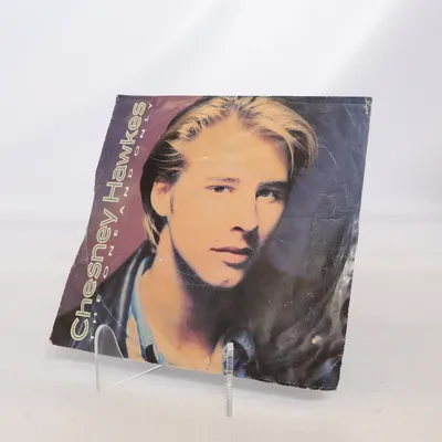 Vinyl record