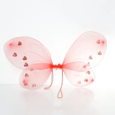 Kostuum accessoires (Roze)