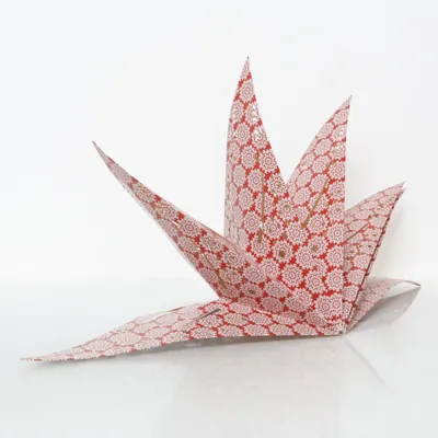 Julstjärna (Röd, Vit)