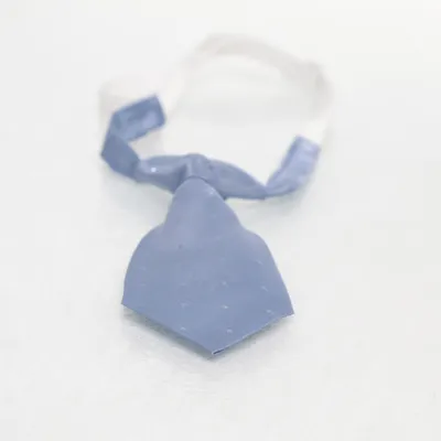 Stropdas (Blauw, Wit) van Lipsy Polyester
