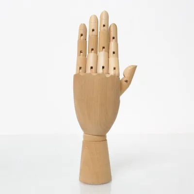 Anatomimodell (Beige)