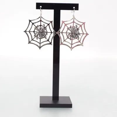 Örhängen (Silverfärgad) Okänd metall