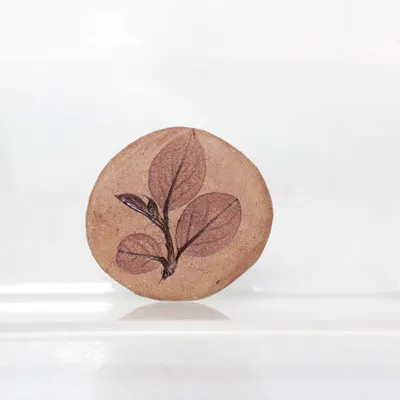 Broche (Beige, Bruin) Onbekend materiaal