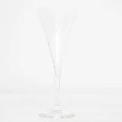 Champagneglas (Transparent) från Orrefors Sweden