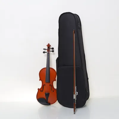 Violin (Brun, Flerfarvet) fra Gear4Music