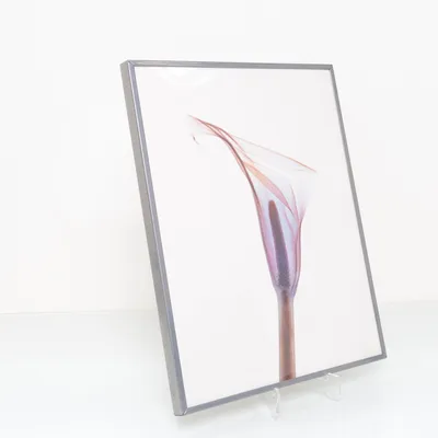 Schilderij van IKEA
