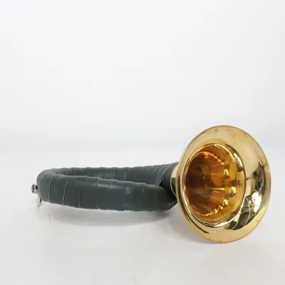 Blasinstrument (Gold, Grün)
