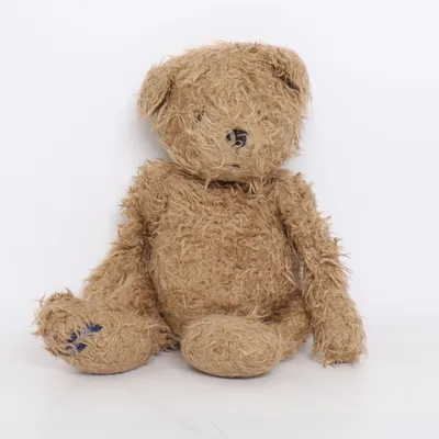 Peluche (Marron) de Barbara Bukowski Design