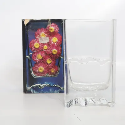 Vaas (Modell Raito av TAPIO WIRKKALA) van Iittala