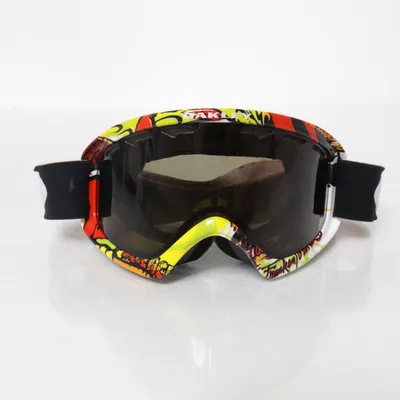 Skidglasögon (Flerfärgad)