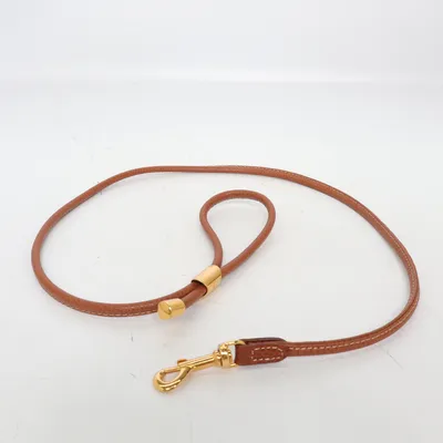 Leash (Brown) from Cinopelca